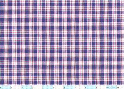 Blue Red White Homespun Check